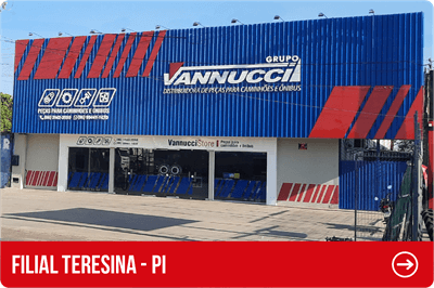 Vannucci Teresina