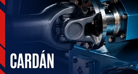 Cardan