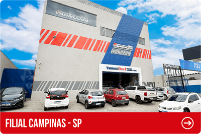 Vannucci Campinas