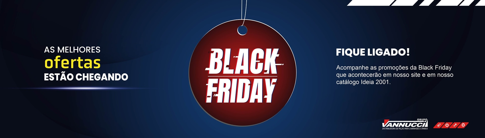 Black Friday Grupo Vannucci