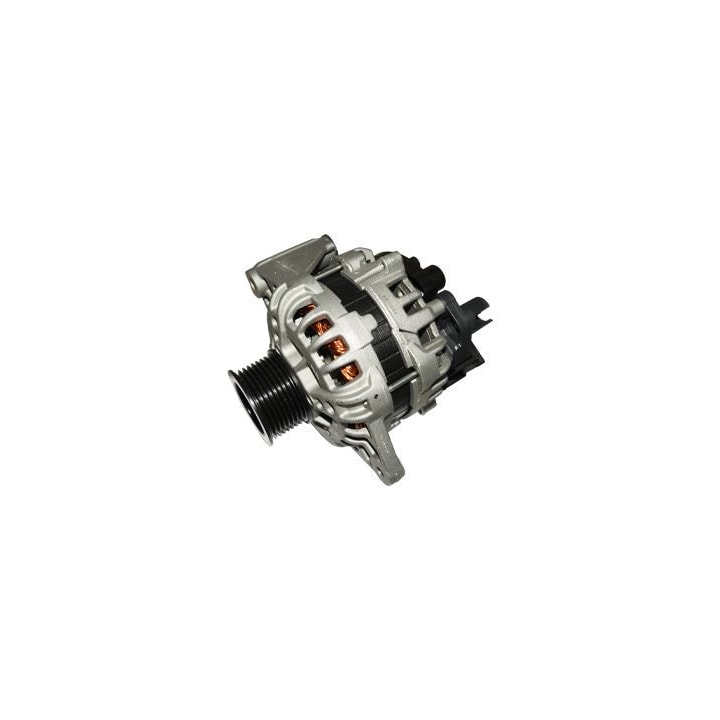 image_81802d6b-6298-4eff-9397-fda5949c6f00