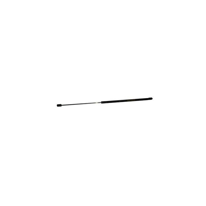 image_af5f9e43-ec36-488c-80cb-cbd2495e4d55