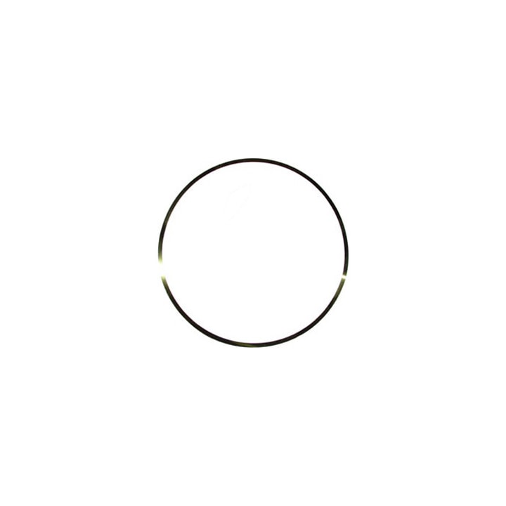 image_b2a4103b-9eb7-4858-9715-b6d4d9ebdca2