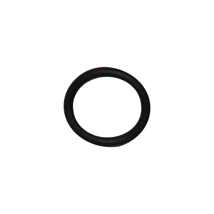 image_8d24258f-8231-4186-a914-c4ebdff8611c