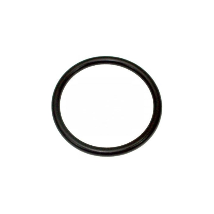 image_2e00c783-5036-46a2-9897-5655f4814202