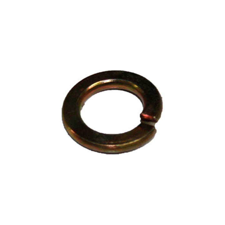 image_2c7b1a73-ae1d-4a47-a185-b9040f893318