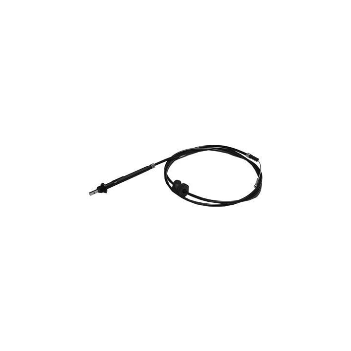 image_8a1b7af4-a25f-414e-96f6-ccff4becef95