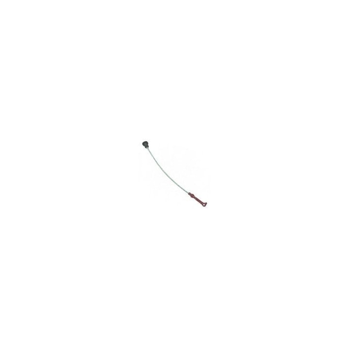 image_9cfe18fa-d543-42d7-80a3-d966b9c3fce0