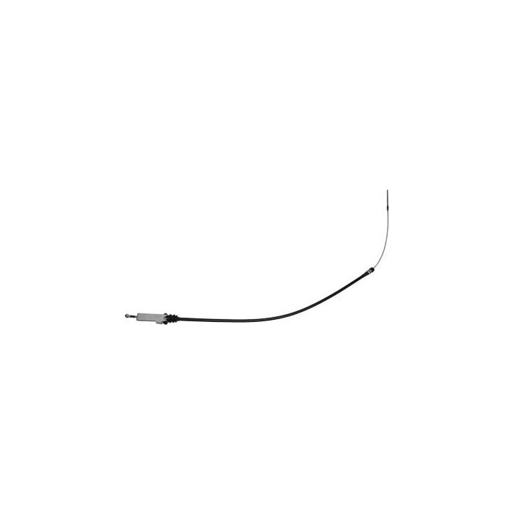 image_fe374459-91a9-4c78-ae49-f878cc826681