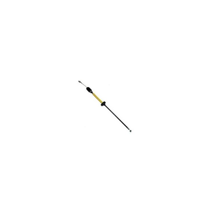 image_95f282b8-af1f-4d1b-b2c1-777e0c7d0dea