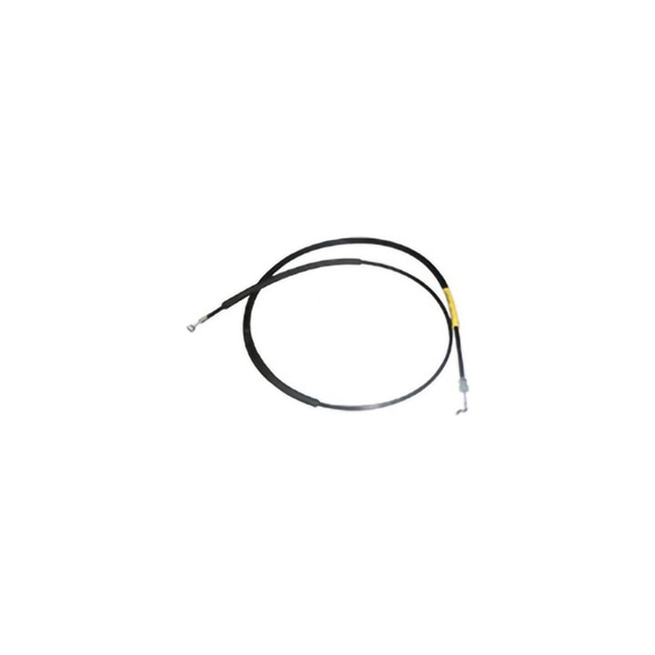 image_4c3295d9-88d0-49a4-9ef4-a5eb83aab892