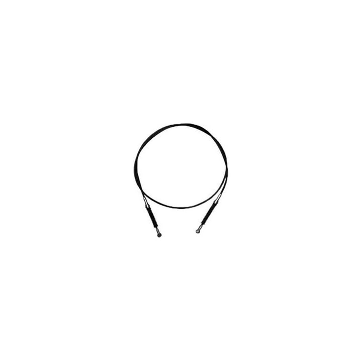 image_119ac1ad-924b-44de-9950-0079a574a8d6