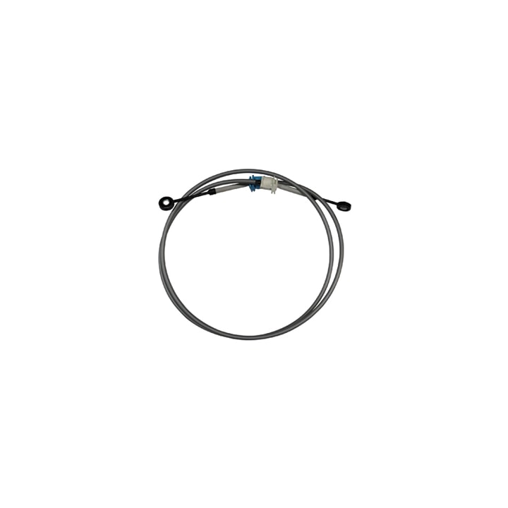 image_5569dccd-da46-447b-a2ea-fafcadf166bb