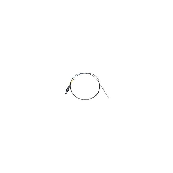 image_e66f18cf-40db-4f5b-b60a-cad879431517