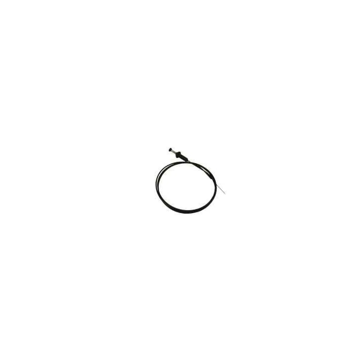 image_6f493f54-90ae-46fd-99e4-5080431f7fec