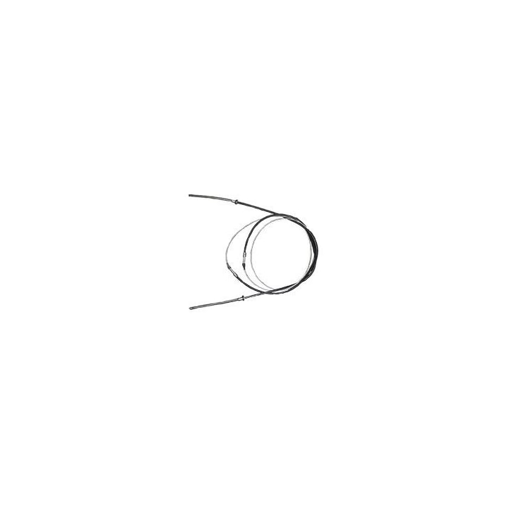 image_fe66a3cb-2819-4078-8ac0-34d6c995e1b9