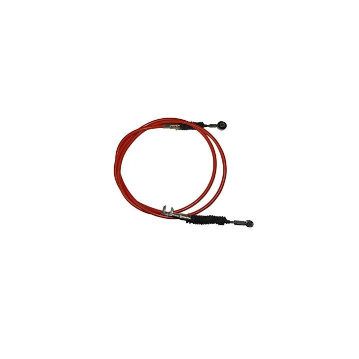 image_56f3e390-8f12-4fba-a6e6-dbe5deed8814