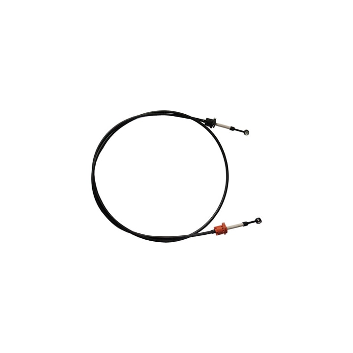 image_c47a7c8b-671f-4e98-b032-7f70b34dcf1e