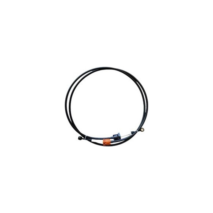 image_db764a06-86b4-4a89-832e-9aaa90ebe6f2