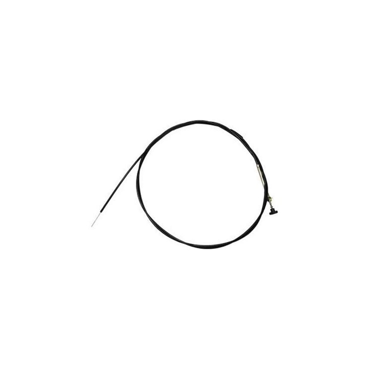 image_d4c1031f-16fb-472b-a511-456e77c400f3