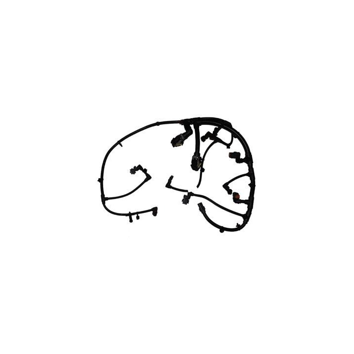 image_8dd75595-9605-4aa8-96dc-9ada06328ca7