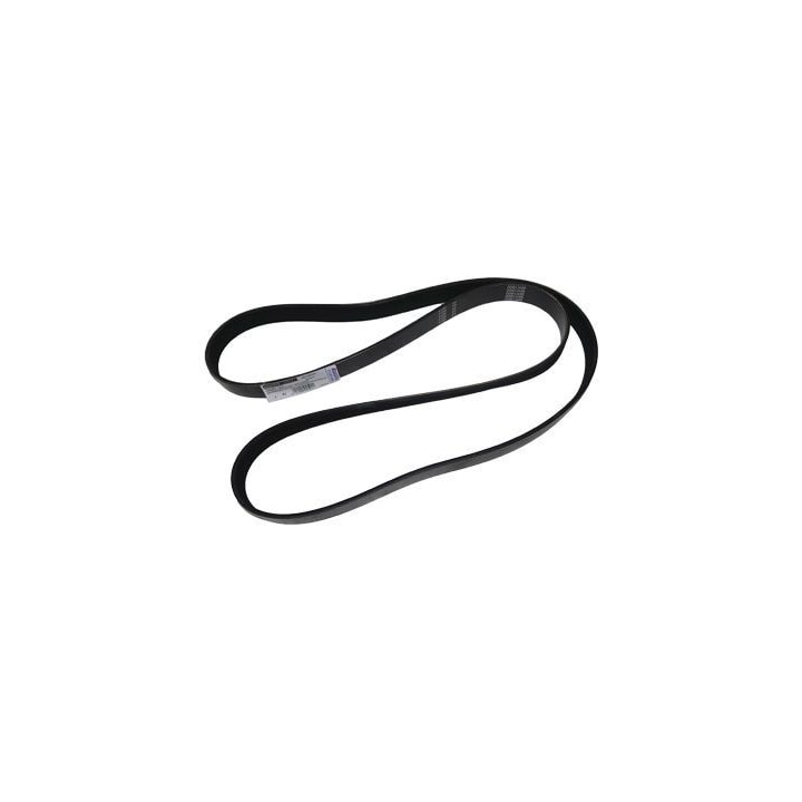 image_8d441cf9-c943-4fcd-880c-758e8680b380