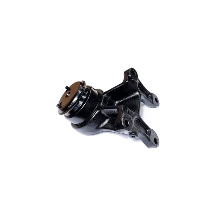 image_9d835341-1498-4aba-a36d-af49ebbc4aef