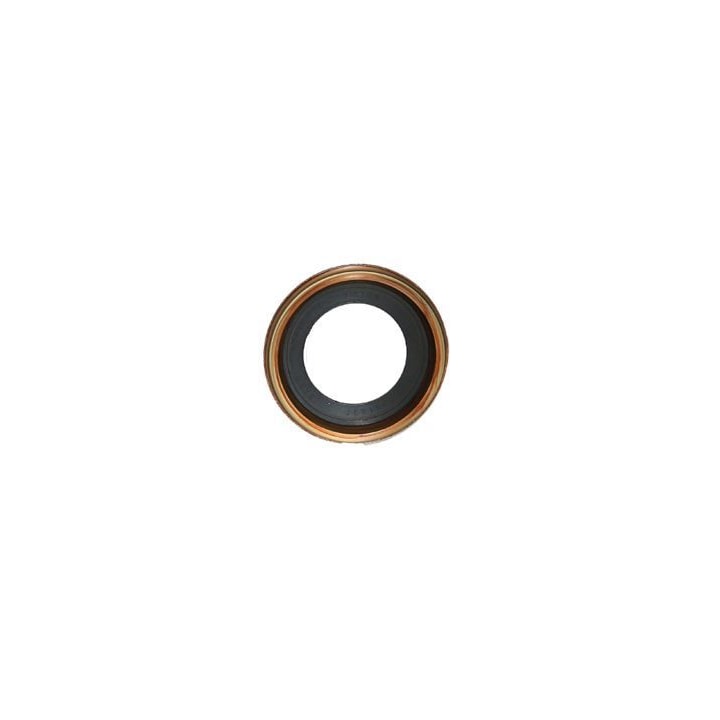 image_2db784a0-e98e-4f04-b5b7-e6cccdd244df