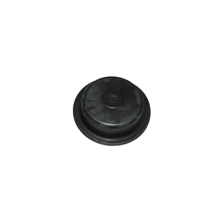 image_afe55997-3d69-4cf4-bbee-8b43ec07ad10