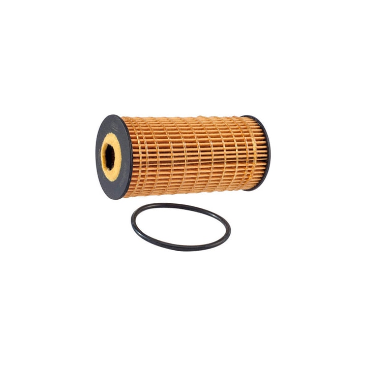 image_933787ea-d665-47c0-b978-ea65e28f0149