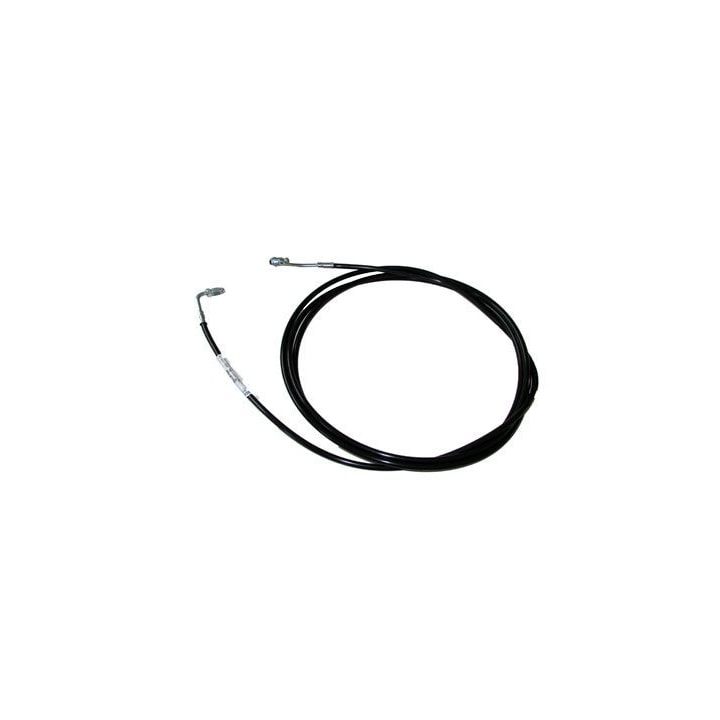 image_2f250484-f9a1-4faa-9571-41054e501b55