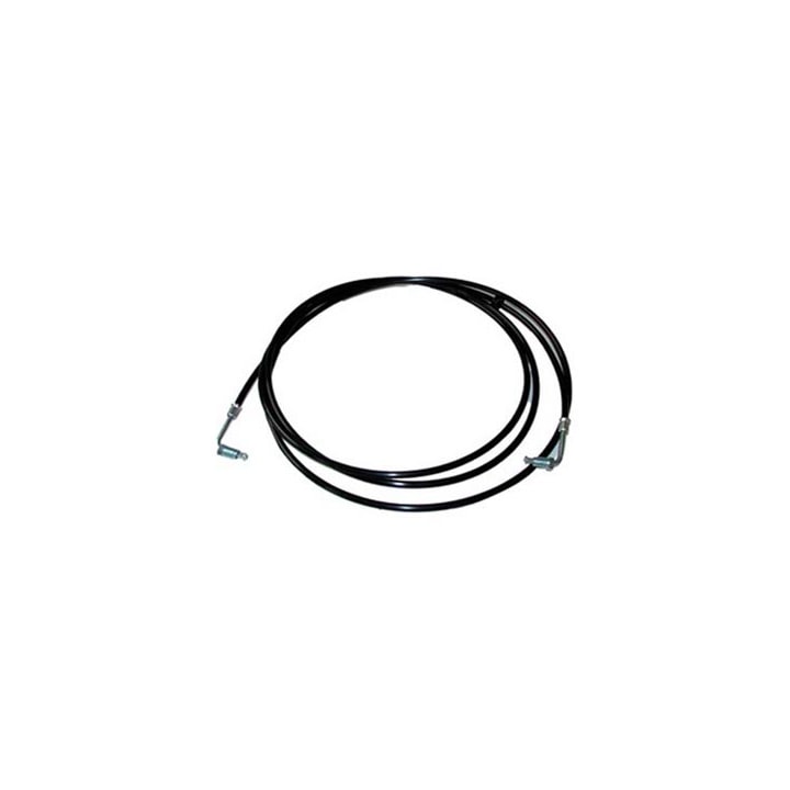 image_3172ceec-84b4-48be-84fd-9dfec5565092