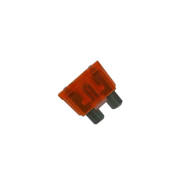 image_37aece59-ab92-4d6f-8cfb-3fbeef81f586