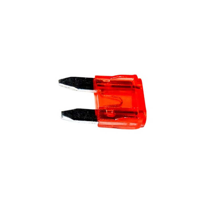 image_e69f5ccc-8c0d-436c-912c-240fa8658d19