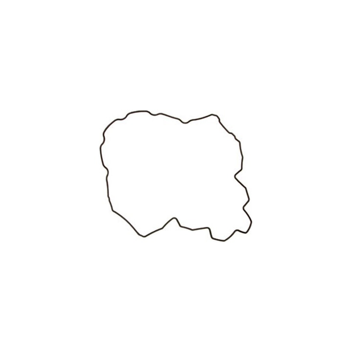 image_95ca1c19-8e12-426e-968b-df1c82e7d9da