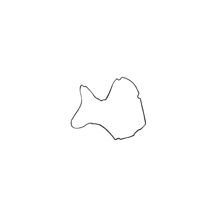 image_8fa3b38d-4116-4551-aa07-d92c38e80e47