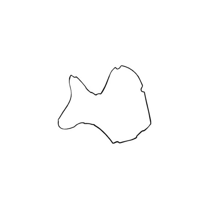 image_1e57822d-9bd4-4499-8520-296e2bf51d34