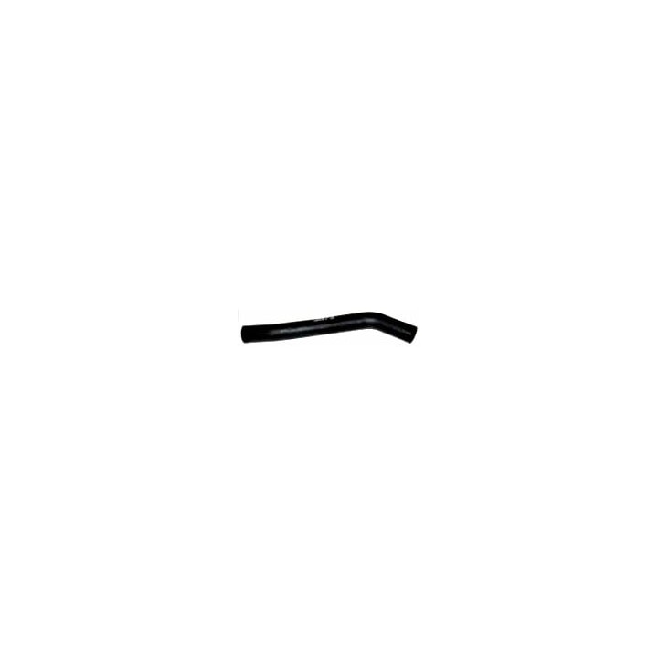 image_dbe39874-8efb-438b-8b85-9d9be69a95ad