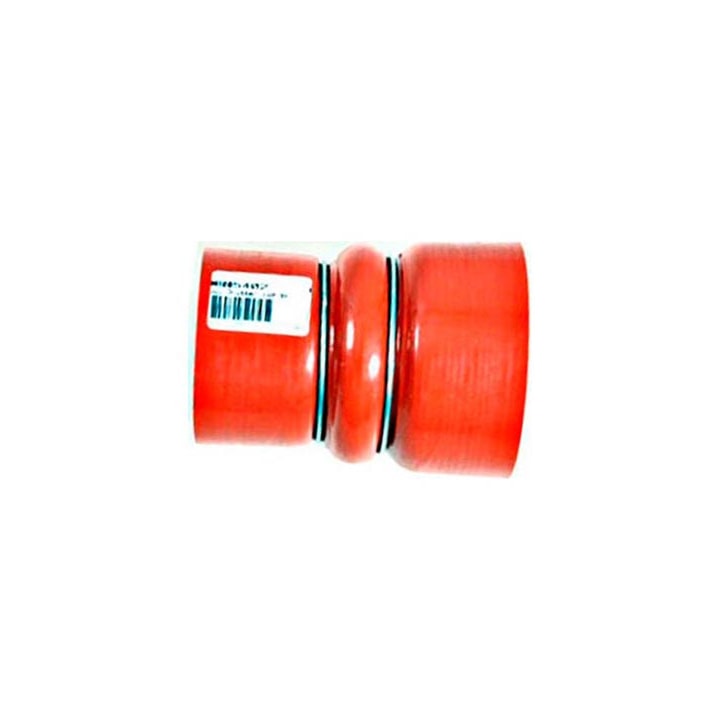 image_2ef1ec8e-e1b6-4539-b643-d1362e51b7e0