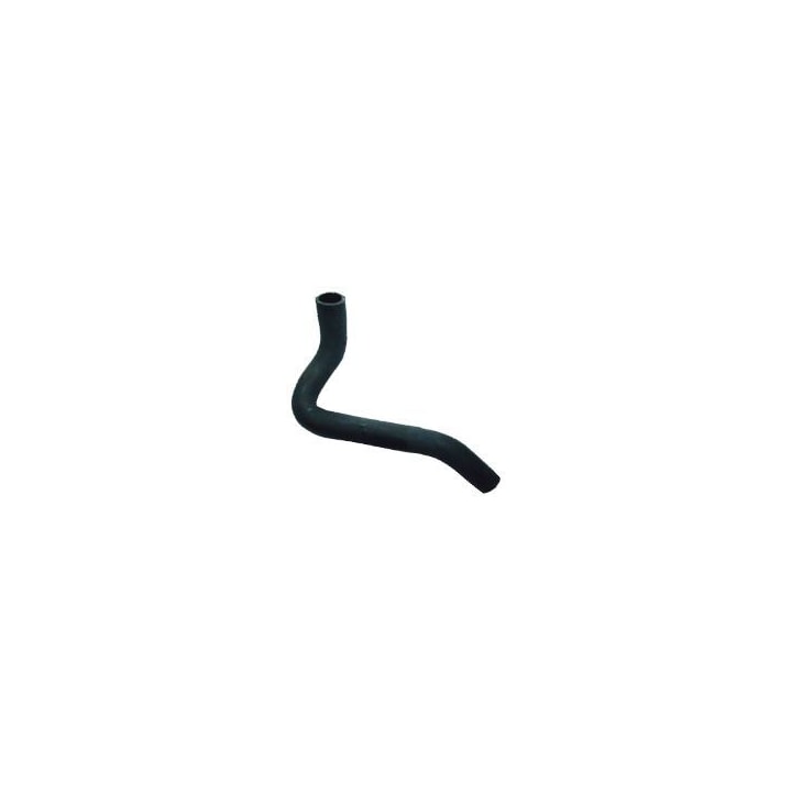 image_d3ebbc66-aa5e-4ce2-873a-0d7178f87e64