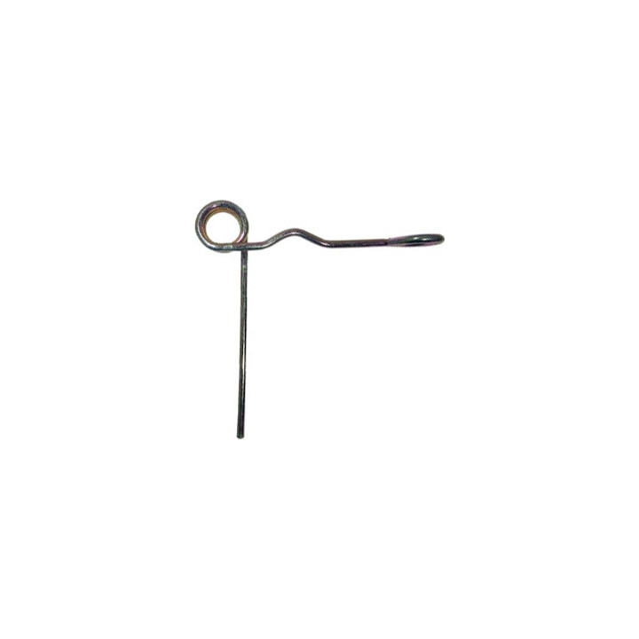 image_411f8b72-472b-4c48-8806-b141f1b7d1a2