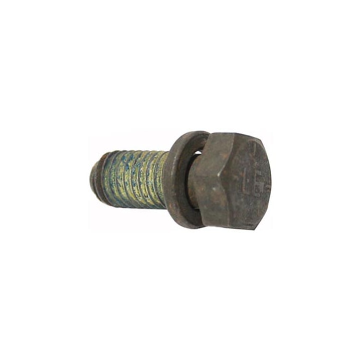 image_99169990-8a96-4249-a5e0-82cef740f35c