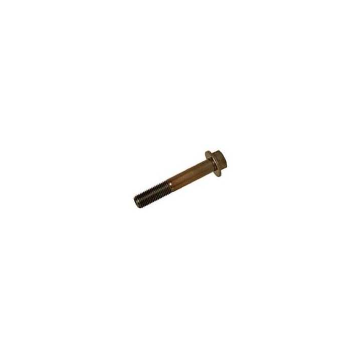 image_c17ea8f8-420f-48ce-a8ab-75f1edde77dd