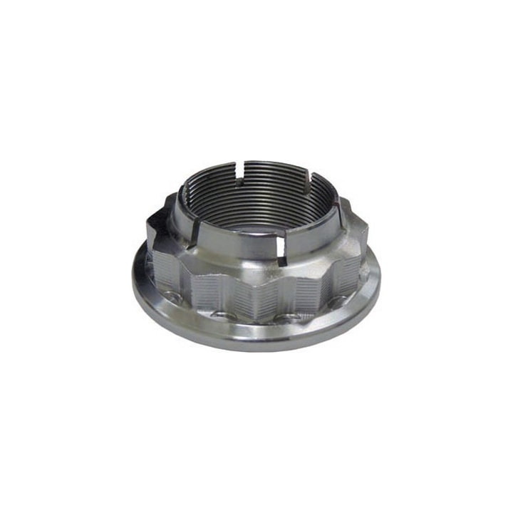 image_aff62a81-947a-48b5-b006-bf25d17e9228