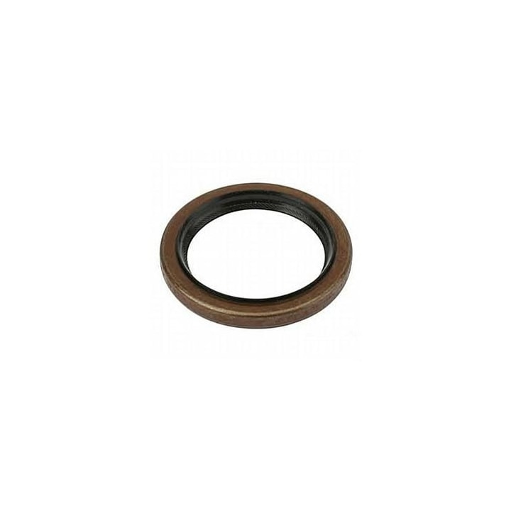 image_b2082097-2d2a-4602-ba62-f9f56934a0a7