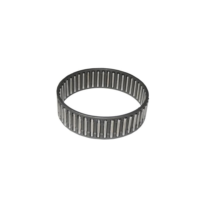 image_372e33f2-fa64-4dbf-a491-7a313f56e53a