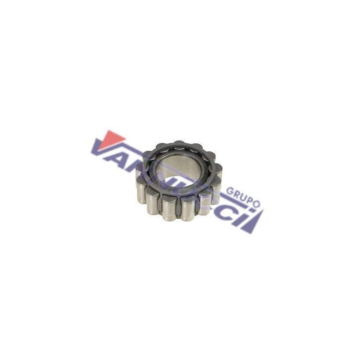 image_556393df-f54b-4429-9d18-5d88c74c6e52