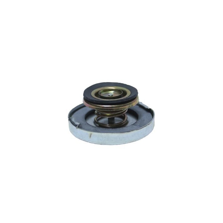 image_a3b1f561-5a80-4e5f-8e92-86db86cf6820