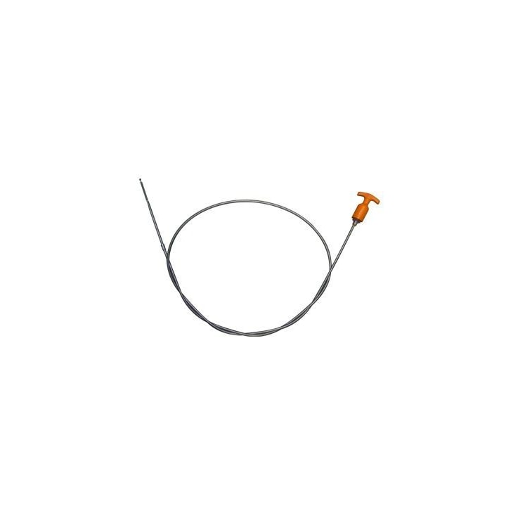 image_f361f105-a7fa-44ba-9227-708435eb2f84