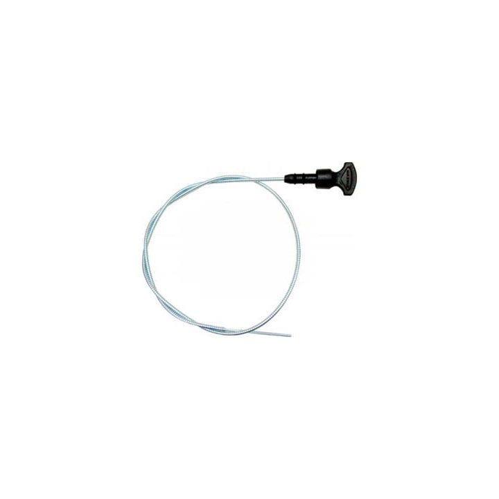 image_404ae64a-3eae-4534-8ce3-dd9bef672eee